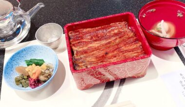 Authentic "Unaju" (Grilled Eel on Rice) I had in Japan! ✨