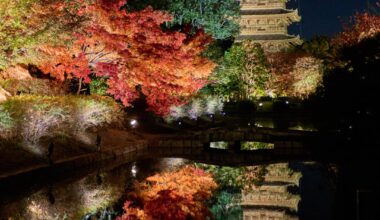 To-ji and Kitano Tenmangu, Kyoto
