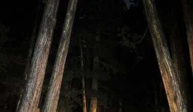 Okunoin Cemetery - Night & Day - Jan. 11-12, 2026