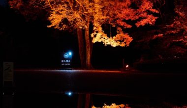 Kyoto Botanical Gardens and Lightcycles on an autumn night