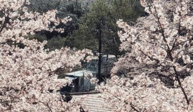 shinkansen going by small villages