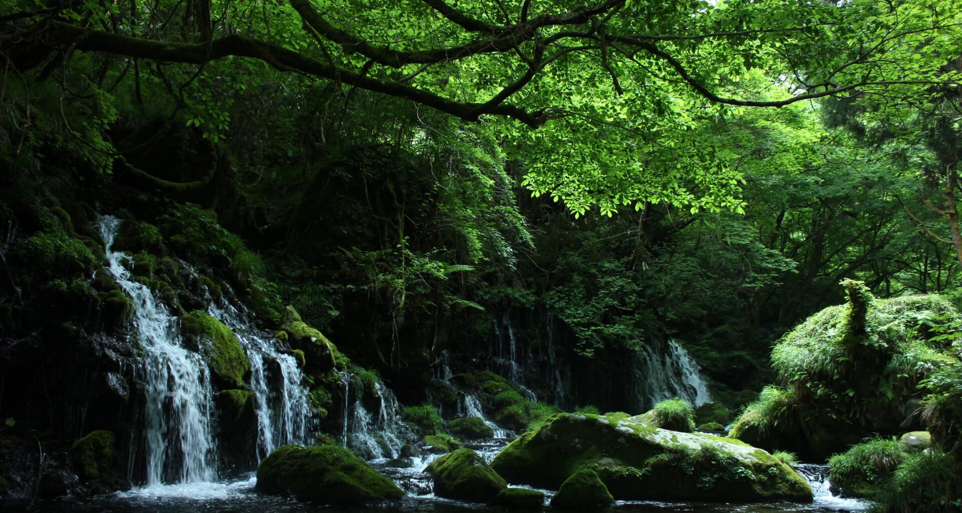 You heard it here, Fukushima is the best prefecture