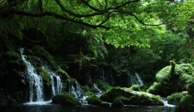 You heard it here, Fukushima is the best prefecture