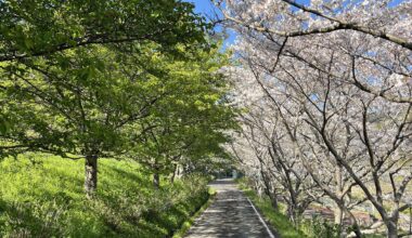 Today’s weather was fantastic [OC]