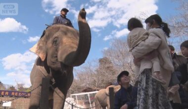 Gasoline prices exceeding 200 yen hit tourist destinations hard; private car visitors decrease, free shuttle bus reservations more than double