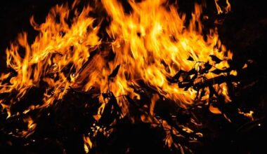 Japanese man drives truck that’s on fire directly to fire station, drops flaming potatoes[Videos]