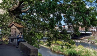 Hotter Summers and Climate Change: Why Kyoto Needs More Trees