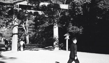 Some photos in black and white from December