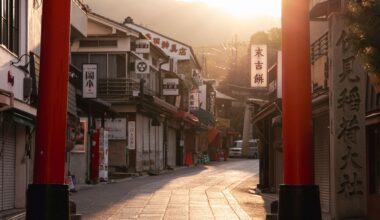 Caught this on an early morning walk to Fushimi Inari Kyoto, Japan