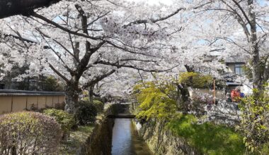 Philosopher's Path, Kyoto