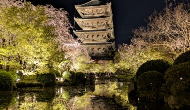 at Toji-temple🌸 in 🇯🇵Kyoto.