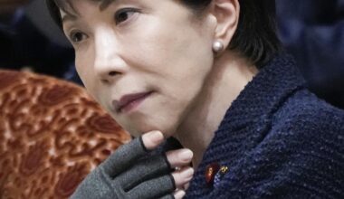 The budget bill passed the Lower House on the evening of the 13th, with the Prime Minister forcing a vote through using "the power of numbers". House of Councillors have until April 11 to vote to stop the bill