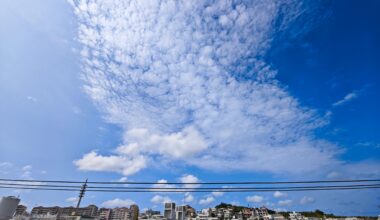 今日の沖縄（那覇市）