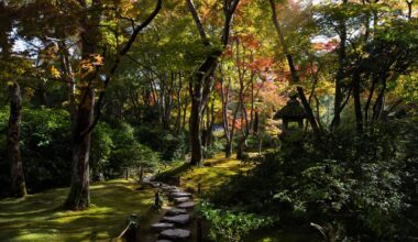 Kyoto — Wandered into Okochi Sanso, Arashiyama. Didn't want to leave [OC]