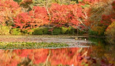Ryoan-ji, Kyoto