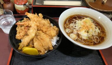 Spring Soba and Tempura Rice Bowl Set