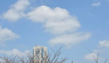 Cherry blossom season has arrived in Tokyo.