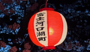 Hanami in Fujikawaguchiko and Yoshida City