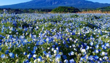 A few selects from 3 trips