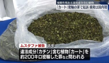 First domestic arrest: Somali national indicted for smuggling the plant "khat". Declared  khat to customs as an "edible plant from overseas," but inspections revealed that it contained illegal ingredients.