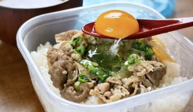 お昼に急遽作成したネギ卵牛丼がこちら💁製作費200円で美味しかったです😋