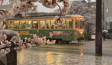 Train & Cheery blossom