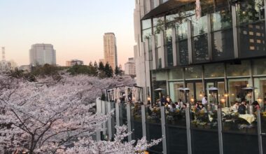 Spring evening in Tokyo 🌸