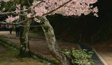 Can it get any more beautiful that this?