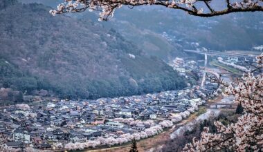 For a short time Japan dresses in sakura.