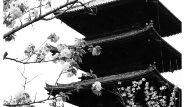 B&W Japan in Spring 2024