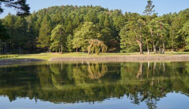 Hiraizumi, Iwate Prefecture