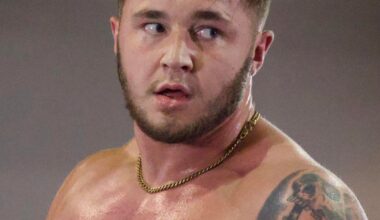 Here are some independent wrestlers id like to see in njpw factions!