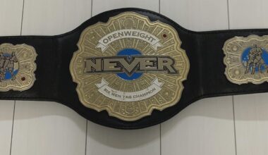 What's Everyone's Thoughts on the NEVER Openweight Six Man Titles?