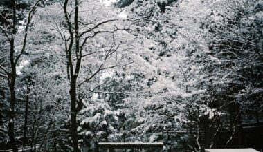 Nikkō is magical in wintertime