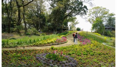 Makino Botanical Garden in Kochi