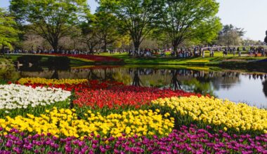 Showa Kinen Park - Tachikawa, Tokyo