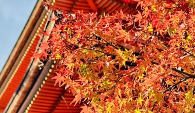 Kyoto (November 2025)