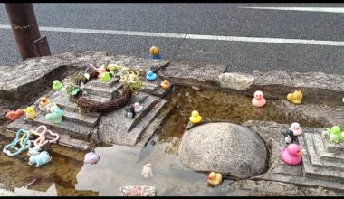 Saw this on a random street in Nakamura-ku, Nagoya while out on a jog. Anyone has any insights on what it could be for?
