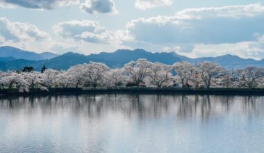 Cherry blossom in Tairanosawa Park, Kameoka, Kyoto