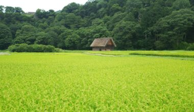 Shirakawa-go, August 30, 2017