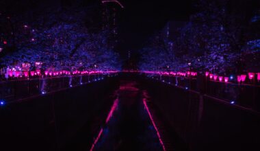 Meguro River Cherry Blossoms Promenade At Night