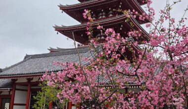 Two weeks in Japan is just not enough