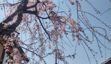 Hōkan-ji Temple (Yasaka Pagoda) Gion, Kyoto