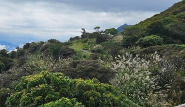 Some views on top of Beppu Ropeway