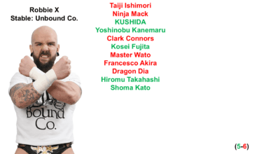 every Robbie X singles match in new japan so far
