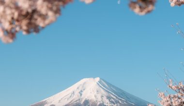 When both the flowers and the mountain compete for attention.