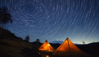 Star trails over Mt. Fuji. A silent night experienced in the forests of Shizuoka, Japan.