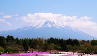 Shibazakura Matsuri at Yamanashi (20029/04/30)