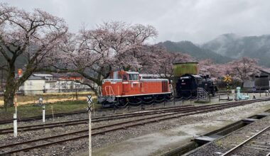 Wakasa Station accompanied with Sakura