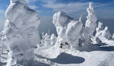 Zao Snow Monsters ☃️